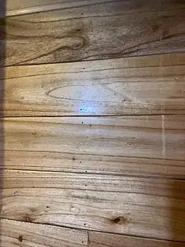 violet-00 — Thng em 